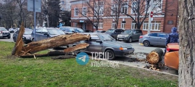 ������ ����� �� ��� ���������� �� ����� ���� ��������