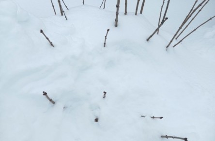 ���� � ����: ��� ������� ������ � �������� ������� � ��������� ������� ����