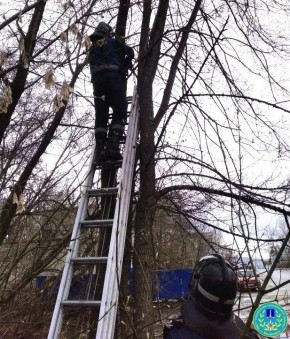 ��������� ����� ���������� ���� � ������ � ���������� ������