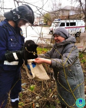 ��������� ������� � ������ ���� � ���������� ������