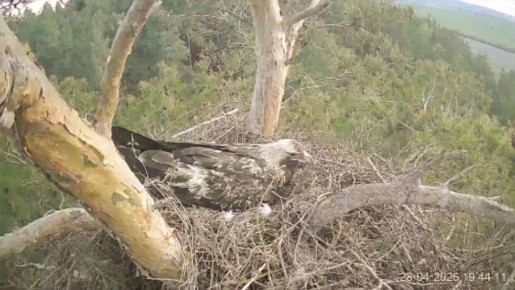 � ������ ��������� ����� � �������� �������������� ����� ��������� ������ �����!