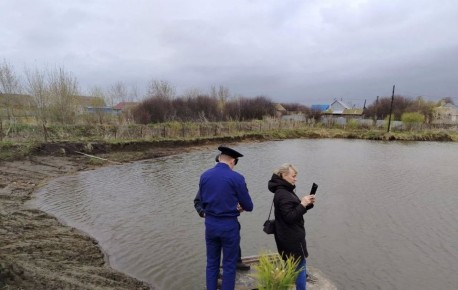 ����������� ����������������� ������ �������� �������� ���������� ���������������� ����������������