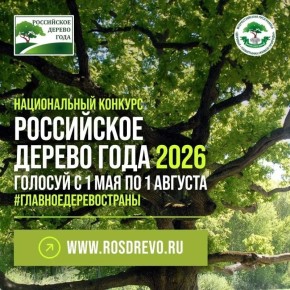 ���������� ��� ����������� ������� ��������� � �������� ����������� ������ � 2026!�
