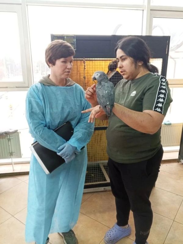 Ульяновские ветеринары проверили более 70 видов экзотических животных на выставке «Живые Тропики»
