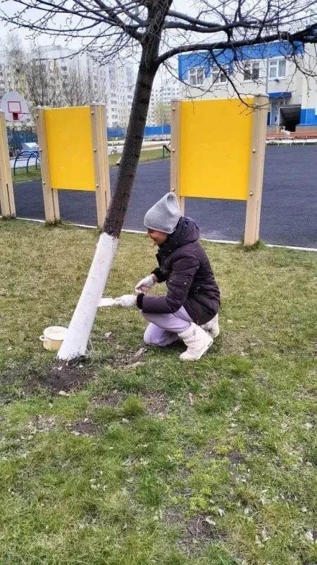 С улиц Ульяновска в ходе весеннего благоустройства вывезли больше 13 тысяч кубометров мусора