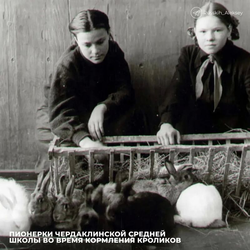 Алексей Русских: С Днём пионерии!. 19 мая 1922 года зародилась детская организация, которая объединила многие поколения Алексей Русских: С Днём пионерии!. 19 мая 1922 года зародилась детская организация, которая объединила многие поколения