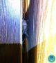 � �������� ���������� �� ������������ �������� ������� ����