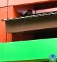 ������ �������!. �� ������ ������� ����� �������� � ���������� ������ ���� �������� ���
