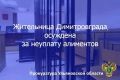 Димитровградский городской суд Ульяновской области вынес приговор по уголовному делу в отношении жительницы региона