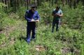Прокуратура Радищевского района Ульяновской области проводит проверку исполнения законодательства в сфере лесопользования и охраны лесов от пожаров