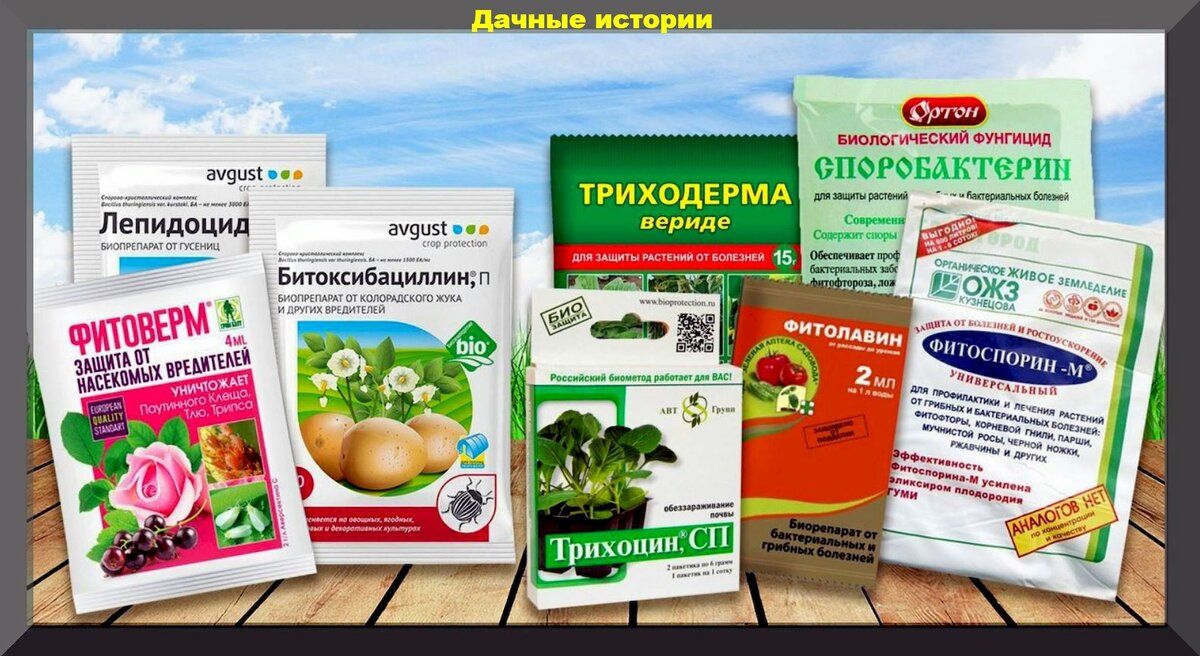 Как эффективно экономить на биопрепаратах для сада и огорода