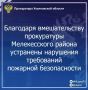 Прокуратура Мелекесского района Ульяновской области провела проверку исполнения законодательства в сфере охраны лесов от пожаров