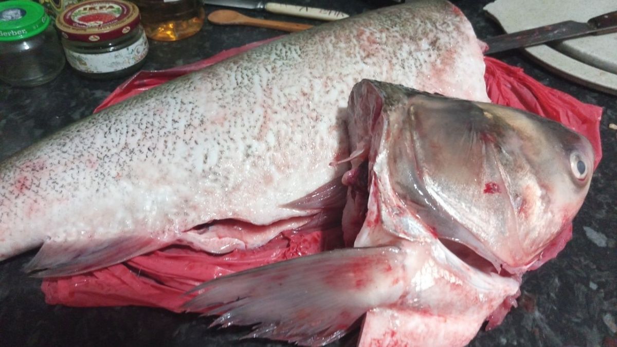 Пирог с рыбой и рисом: ностальгия по бабушкиным рецептам