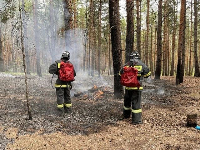 В Ульяновске сохранится высокая пожарная опасность