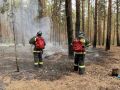В Ульяновске сохранится высокая пожарная опасность
