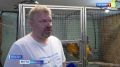 Из Узбекистана в Москву через Казахстан ехали 4 ...попугая. Но не доехали, путешествие завершилось в Ульяновске
