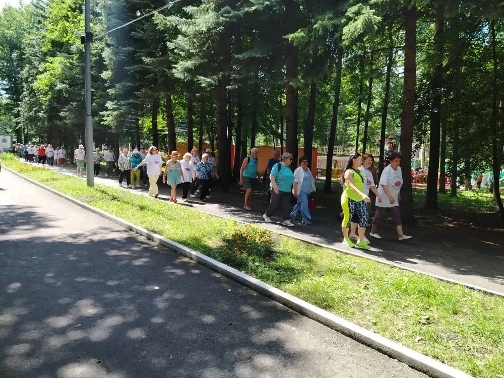 Жителей Ульяновска приглашают на «Прогулку с пользой»