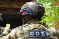 В Ульяновской области при силовой поддержке СОБР "Пламя" Росгвардии пресечена деятельность двух коммерсантов, которые продавали опасную для жизни и здоровья никотинсодержащую продукцию без маркировки