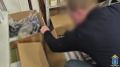 В Ульяновской области полицейские пресекли сеть сбыта контрафактных вейпов