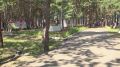 Курс на поддержку семьи.. Государственная Дума VIII созыва в сентябре 2026 года завершает свою работу, профильный комитет — по защите семьи, отцовства, материнства и детства — подводит итоги. Его председатель Нина Останина...