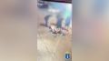 В Ленинском районе Ульяновска сотрудники уголовного розыска оперативно задержали подозреваемого в причинении тяжкого вреда здоровью