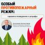 ������ ��������������� ����� ��������� � ����������� ������� �� 31 ����