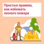 Лесные пожары легче предупредить, чем потушить