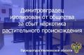 Димитровградский городской суд Ульяновской области вынес приговор по уголовному делу в отношении жителя региона