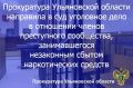 Заместитель прокурора Ульяновской области утвердил обвинительное заключение и направил в суд уголовное дело в отношении 5 жителей Ульяновской и Самарской областей