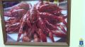 В Ульяновске полицейские изъяли более 539 кг живых раков