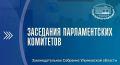 На этой неделе в Законодательном Собрании Ульяновской области запланированы заседания профильных комитетов