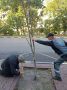 В Ульяновске осенью высадят почти три тысячи деревьев и кустарников