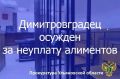 Димитровградский городской суд Ульяновской области вынес приговор по уголовному делу в отношении жителя региона