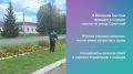 Благоустройство и ремонт дорог: что волновало ульяновцев с 27 августа по 2 сентября