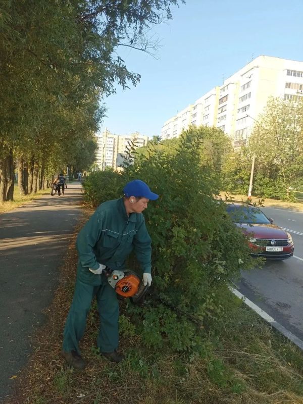 Александр Болдакин: Летний сезон в парках Ульяновска продлится до конца сентября Александр Болдакин: Летний сезон в парках Ульяновска продлится до конца сентября