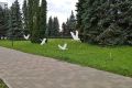 В Ульяновске транспортный полицейский установил местонахождение «белого журавля»