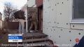 Полтора года лишения свободы Правда, условно