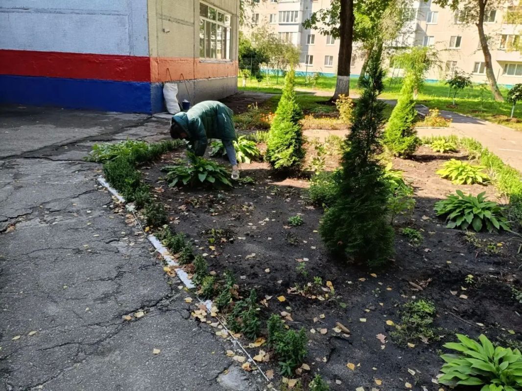По поручению главы города Александра Болдакина во всех районах города сегодня проходят санитарные пятницы! По поручению главы города Александра Болдакина во всех районах города сегодня проходят санитарные пятницы!