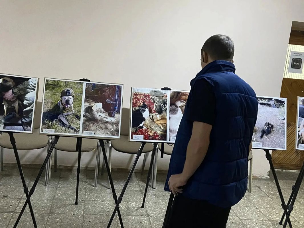В окружном военном госпитале Ульяновска открылась фотовыставка «Душа без бронежилета» в рамках пилотного проекта Минкультуры России «Культурное долголетие», направленного на интеграцию культуры в систему здравоохранения и... В окружном военном госпитале Ульяновска открылась фотовыставка «Душа без бронежилета» в рамках пилотного проекта Минкультуры России «Культурное долголетие», направленного на интеграцию культуры в систему здравоохранения и...