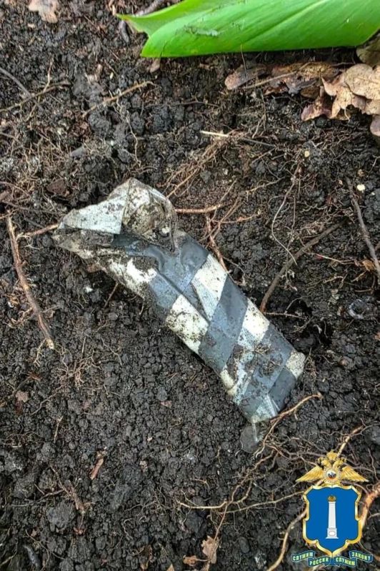В Ульяновском районе задержали двух подозреваемых в сбыте наркотиков В Ульяновском районе задержали двух подозреваемых в сбыте наркотиков