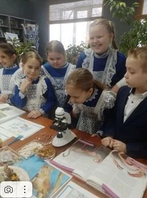 От городских акций до всероссийских побед: как в Ульяновске формируют экологическую культуру? От городских акций до всероссийских побед: как в Ульяновске формируют экологическую культуру?