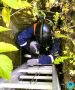 Ульяновские спасатели достали козлёнка из подвала