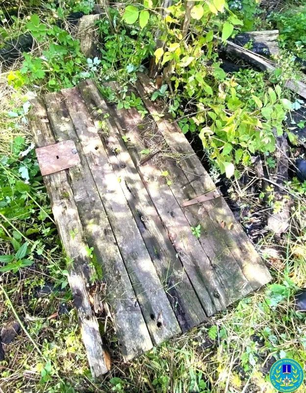 Ульяновские спасатели достали козлёнка из подвала Ульяновские спасатели достали козлёнка из подвала