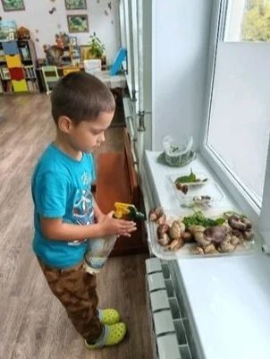 От городских акций до всероссийских побед: как в Ульяновске формируют экологическую культуру? От городских акций до всероссийских побед: как в Ульяновске формируют экологическую культуру?