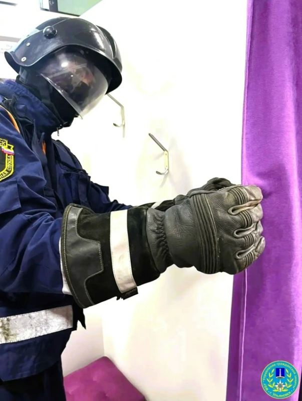 Летучая мышь залетела в пункт выдачи заказов в Засвияжье