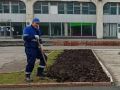 Ульяновские озеленители готовят клумбы к высадке луковиц тюльпанов