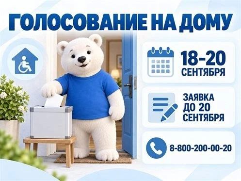Выборы-2026: как проголосовать на дому, если нет возможности прийти на участок