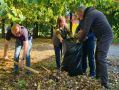В Ульяновске 19 сентября пройдёт городской субботник