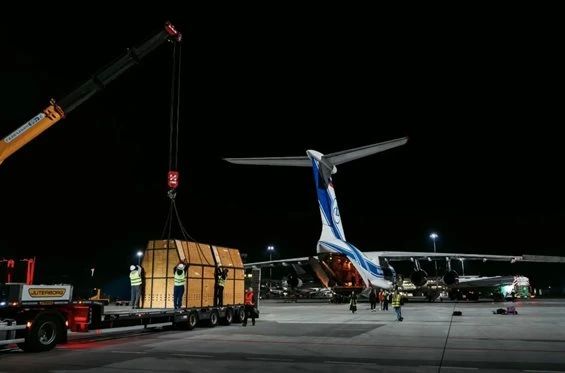 Ульяновская авиакомпания привезла восемь жирафов из Намибии в Казань