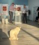 Выборы - под строжайшем контролем! На фото - самый непредвзятый наблюдатель
